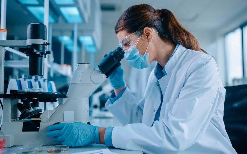 Ex Vivo là gì? Những thông tin về nuôi cấy ngoại cơ thể 2