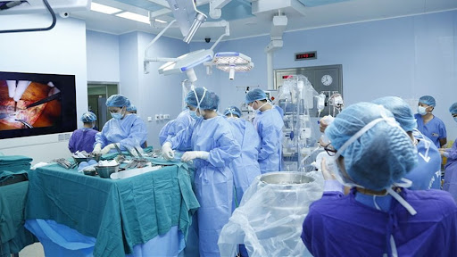 Ex Vivo là gì? Những thông tin về nuôi cấy ngoại cơ thể 3