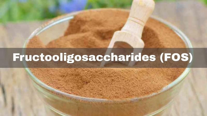 Fructooligosaccharide là gì? Fructooligosaccharide có tốt không? 2