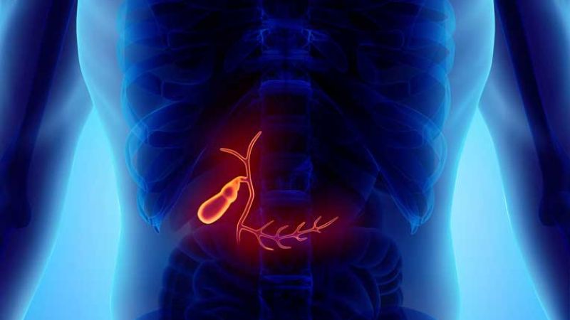 Gall bladder là gì và các bệnh lý thường gặp tại gall bladder 1