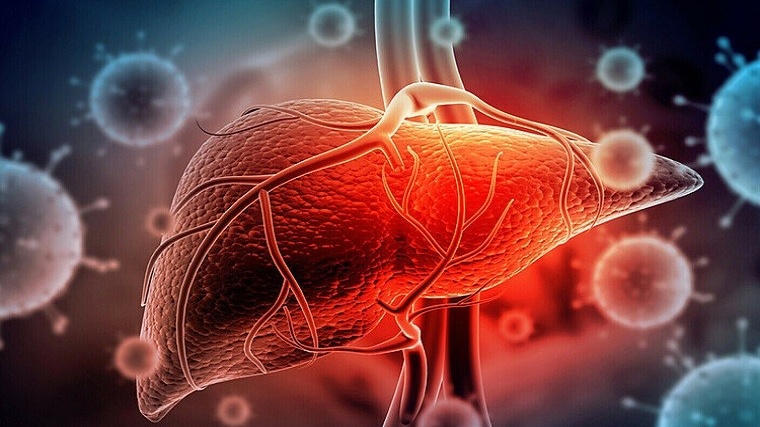 gan-bi-nhiem-doc-nguyen-nhan-do-dau-dau-hieu-va-cach-dieu-tri 1