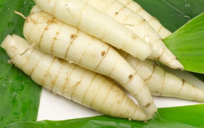 Giải đáp: Ăn củ dong có tác dụng gì? 2