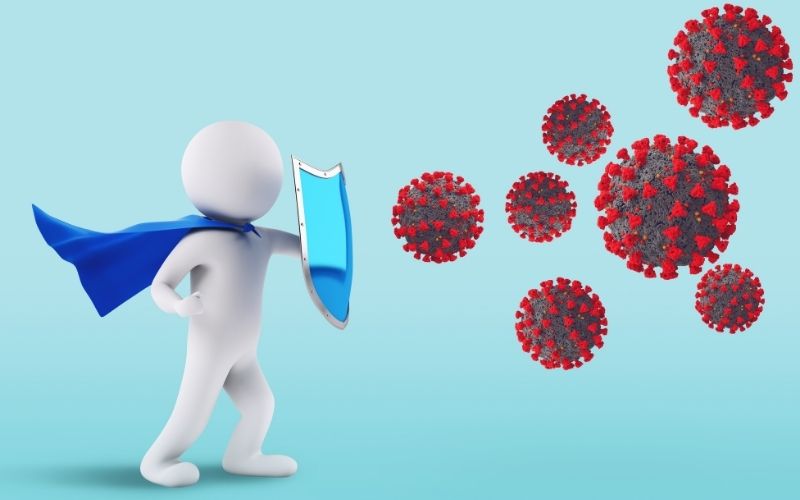 Giải đáp: Ăn củ dong có tác dụng gì? 4