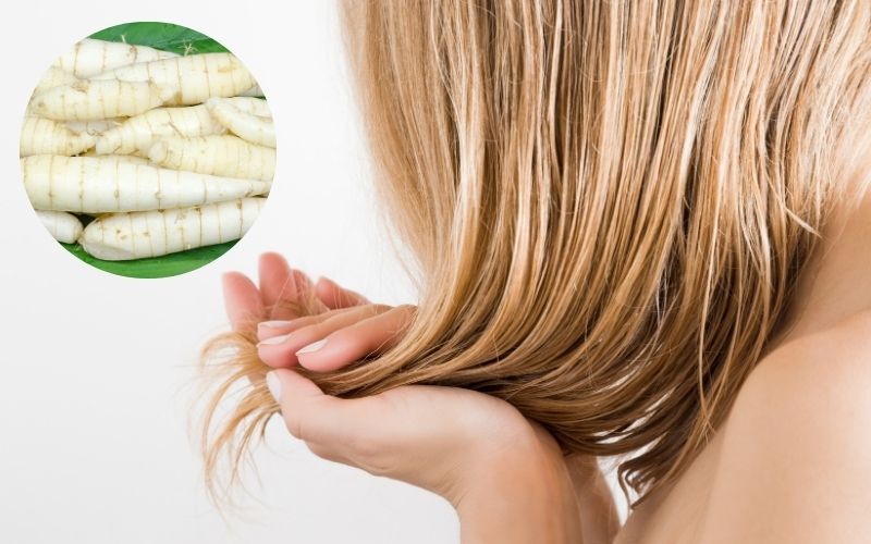 Giải đáp: Ăn củ dong có tác dụng gì? 5