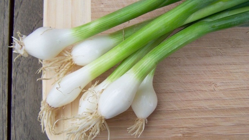 Giải đáp: Ăn hành lá có tác dụng gì? 2