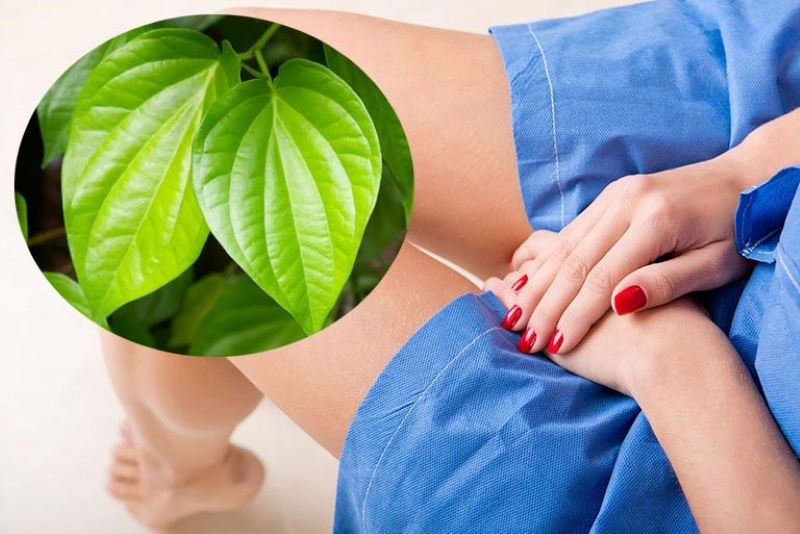 Giải đáp: Bà bầu có được dùng lá trầu không? 3