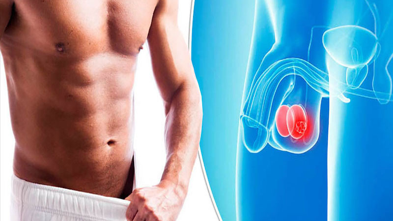 Giải đáp: Bìu là gì? Bìu có những chức năng nào? 1