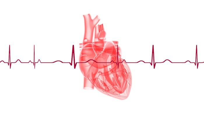 Giải đáp: Hở van 2 lá có nguy hiểm không? 3