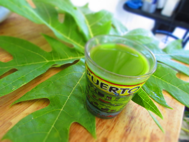 Giải đáp: Những ai không nên uống nước lá đu đủ? 2