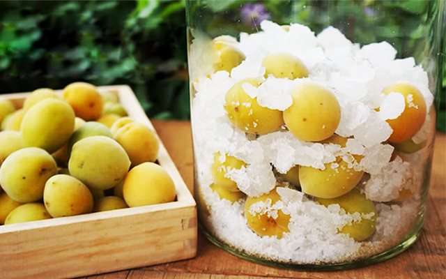 giai-dap-thac-mac-nuoc-mo-ngam-lau-nam-co-tot-khong 4.jpg