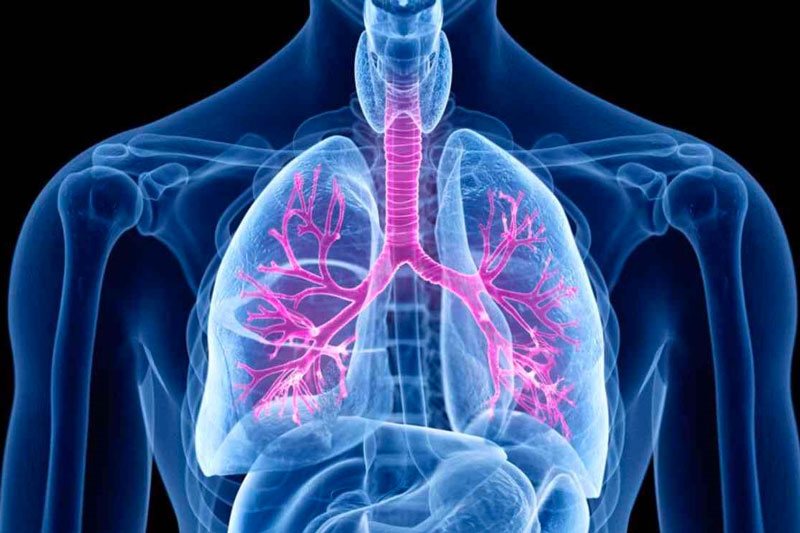 Giải đáp: Viêm phế quản cấp có nguy hiểm không 1