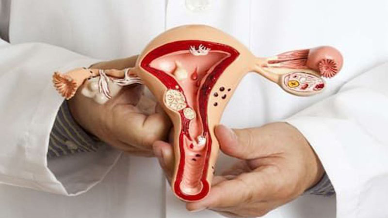 Giai đoạn hoàng thể là gì? Ý nghĩa của giai đoạn hoàng thể với kết quả mang thai 1