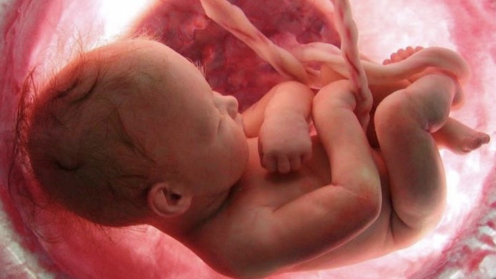 giai-doan-vang-phat-trien-tri-nao-thai-nhi-bi-quyet-kich-thich-tri-nao-thai-nhi-trong-giai-doan-vang 1