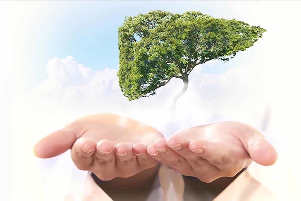 Giải độc gan: Bí quyết giữ gan khỏe mạnh 2