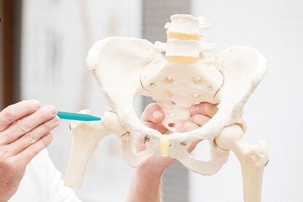 giai-phau-co-khop-hang-va-nhung-benh-ly-thuong-gap 1.jpg