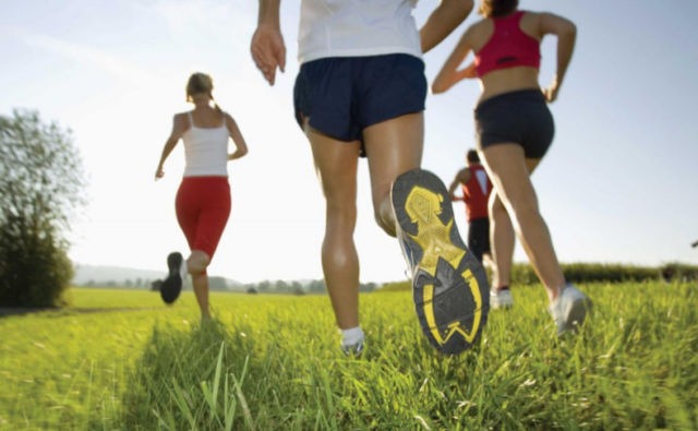 giai-phau-co-khop-hang-va-nhung-benh-ly-thuong-gap 3.jpg