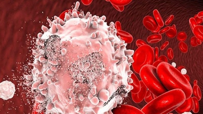 Làm thế nào để ngăn ngừa giảm bạch cầu khi hóa trị ung thư 1