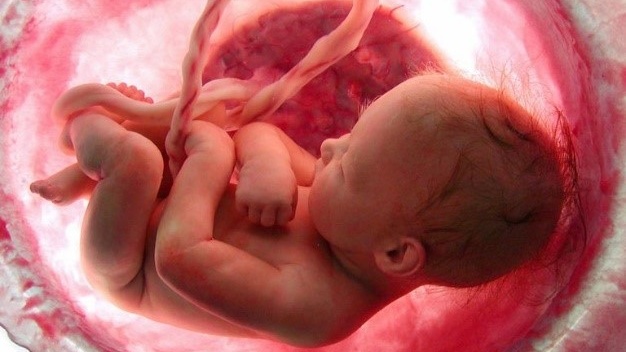 Giữ cuống rốn để làm gì? Những lưu ý cần biết1