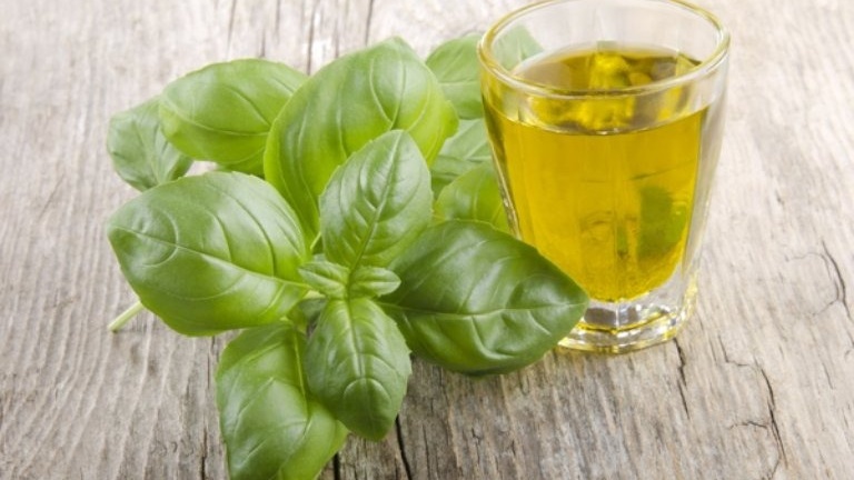 Gợi ý cách cai rượu bằng lá húng quế