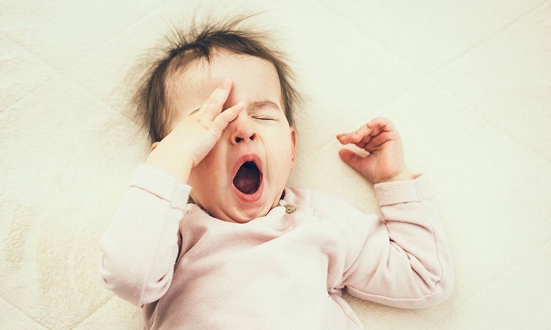 Gợi ý thực phẩm xây dựng thực đơn cho trẻ thiếu máu 1