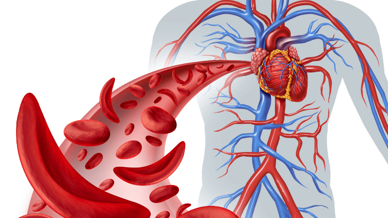 Gừng bị xanh có ăn được không? Những lưu ý khi sử dụng và bảo quản gừng 2