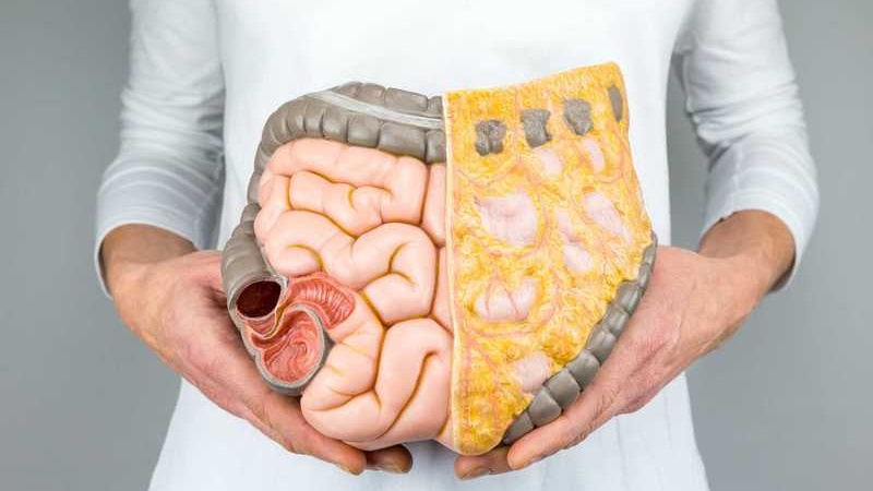 Hậu môn bình thường có cấu tạo và chức năng như thế nào? 1