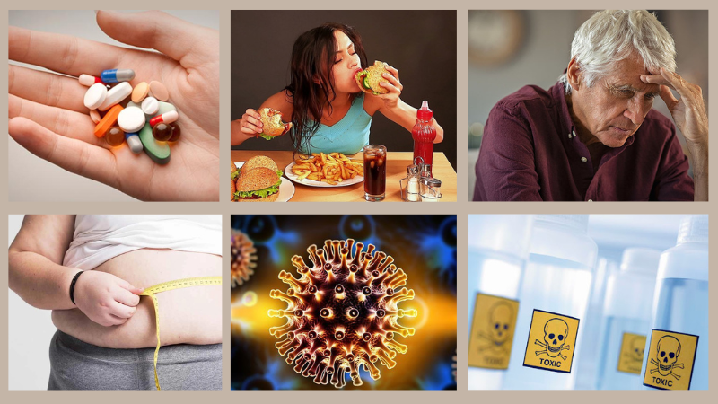 Hệ miễn dịch kém do đâu? Làm thế nào để ngăn ngừa và khắc phục? 3