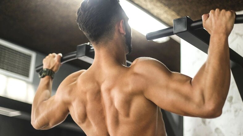 he-thong-co-va-vai-tro-cua-chung-doi-voi-co-the-nguoi 5.jpg