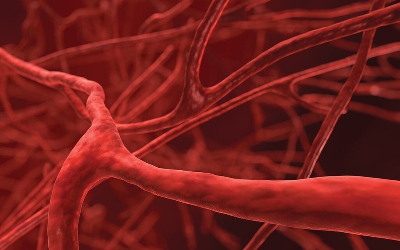 Hemophilia B là bệnh gì? Nguyên nhân và biểu hiện bệnh 1