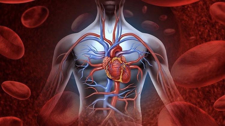 hieu-ve-tang-co-2-mau-nguy-co-tiem-an-va-cach-khac-phuc 3