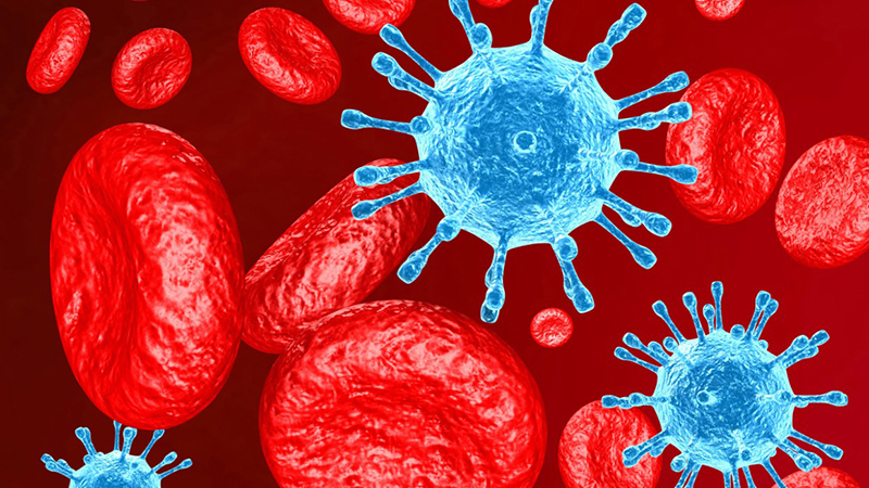 HIV 1 và 2 là gì? Khác nhau thế nào? 2