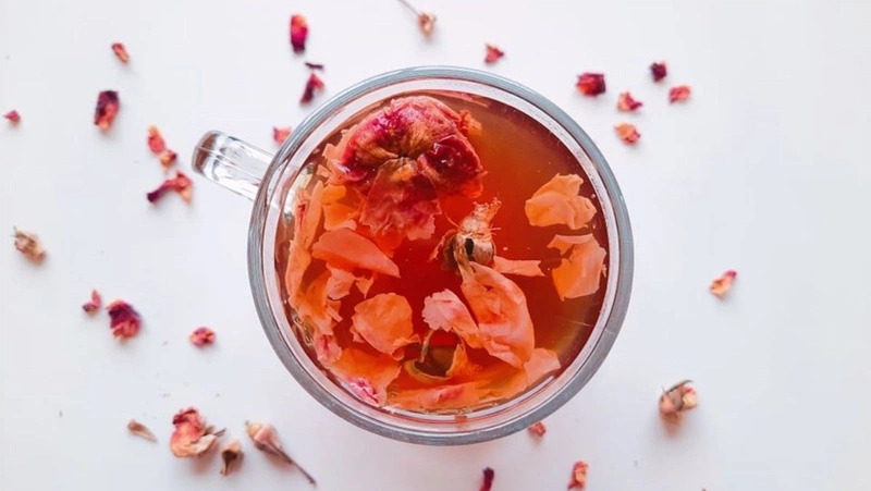 Hoa đỗ quyên có độc không? Tại sao cây đỗ quyên có độc nhưng lại được dùng để trị một số bệnh? 4