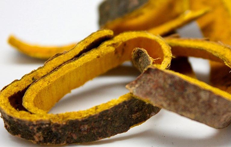 Hoàng bá: Vị thuốc thanh nhiệt với nhiều công dụng mới2.jpg