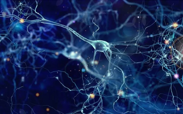 hoi-chung-kallmann-di-truyen-bam-sinh-la-gi 3.jpg