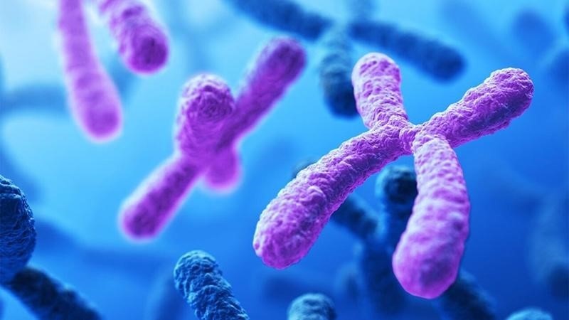 hoi-chung-klinefelter-co-con-duoc-khong-nhung-dieu-can-biet 1