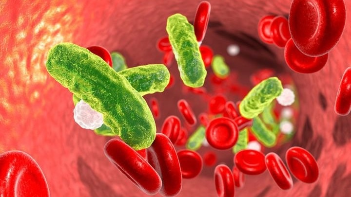 Hội chứng ure máu cao – Nguyên nhân và cách điều trị 1