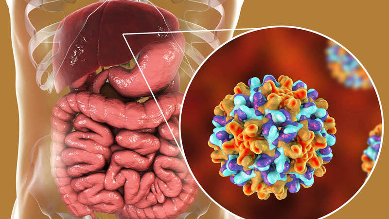 Hướng dẫn cách đọc kết quả xét nghiệm HBV-DNA để theo dõi viêm gan B hiệu quả 4