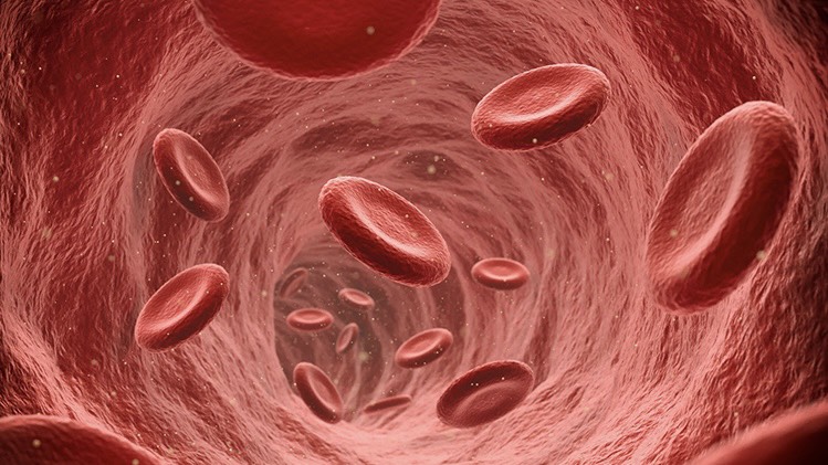 huyet-ap-cao-co-nguy-hiem-khong-giai-ma-ke-thu-so-1-cua-tim-mach 1