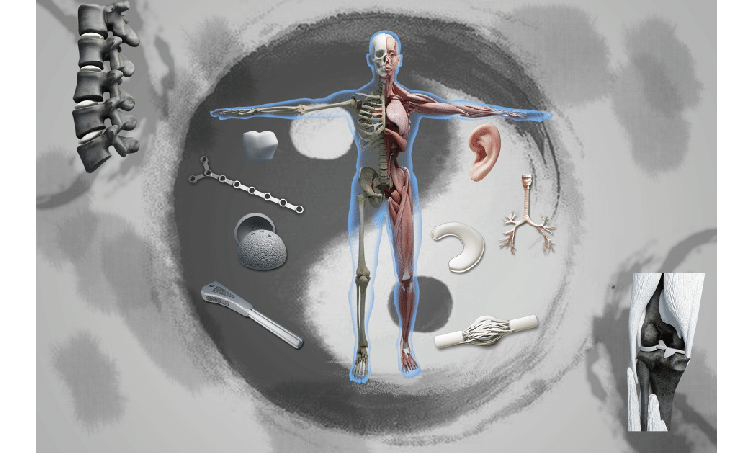 Huyệt Chí dương - Huyệt hội của khí âm và dương 1