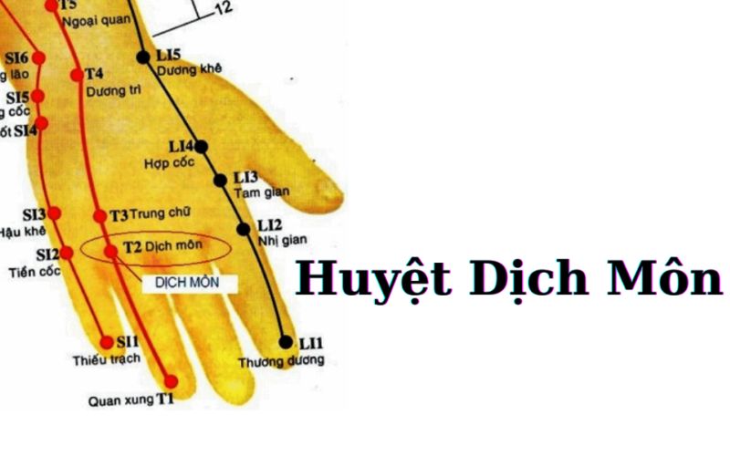 Huyệt Dịch Môn là gì? Tìm hiểu tác dụng của huyệt Dich Môn 2