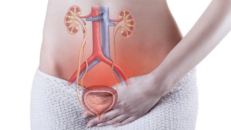 Huyệt Khúc Tuyền là gì? Chức năng của huyệt Khúc Tuyền trong y học cổ truyền 1