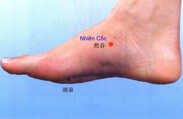 Huyệt Nhiên Cốc là gì? Huyệt Nhiên Cốc có tác dụng gì?