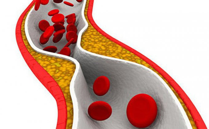 Huyết quản là gì? Một số bệnh liên quan đến huyết quản 1