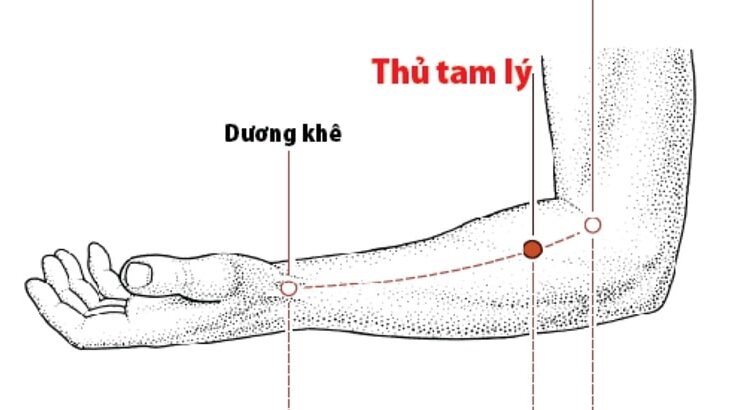 huyet-thu-tam-ly-la-gi-vi-tri-va-tac-dung-ra-sao 1.jpg
