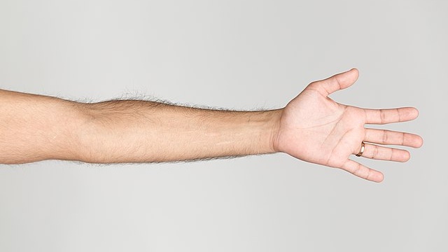 Huyệt trung xung là gì? Vai trò của huyệt trung xung? 1