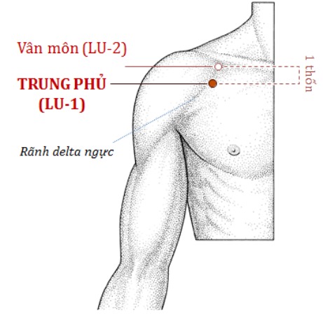 Huyệt Vân Môn nằm ở đâu trên cơ thể?