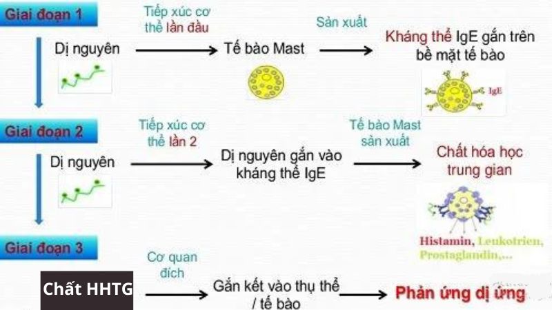 Indicator band (ind) là gì và được sử dụng như thế nào 3