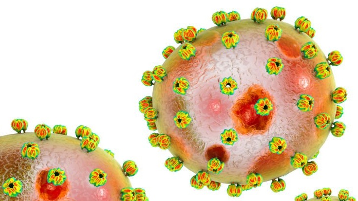 Sốt Lassa nguyên nhân từ đầu và triệu chứng ra sao 3