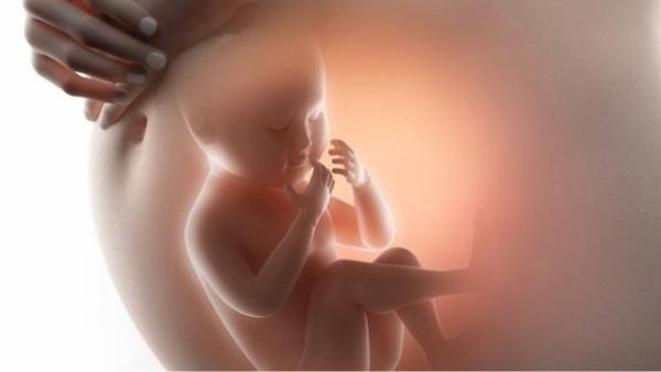 Khám sàng lọc dị tật thai nhi khi nào?