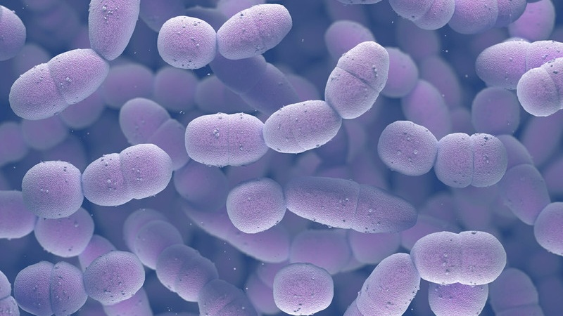 Kháng sinh điều trị viêm phổi trẻ em 01